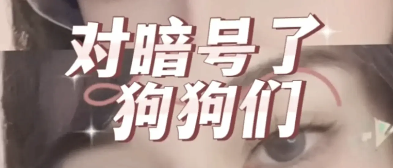 西檬之家-PE是什么意思？字母圈权力交换实践指南