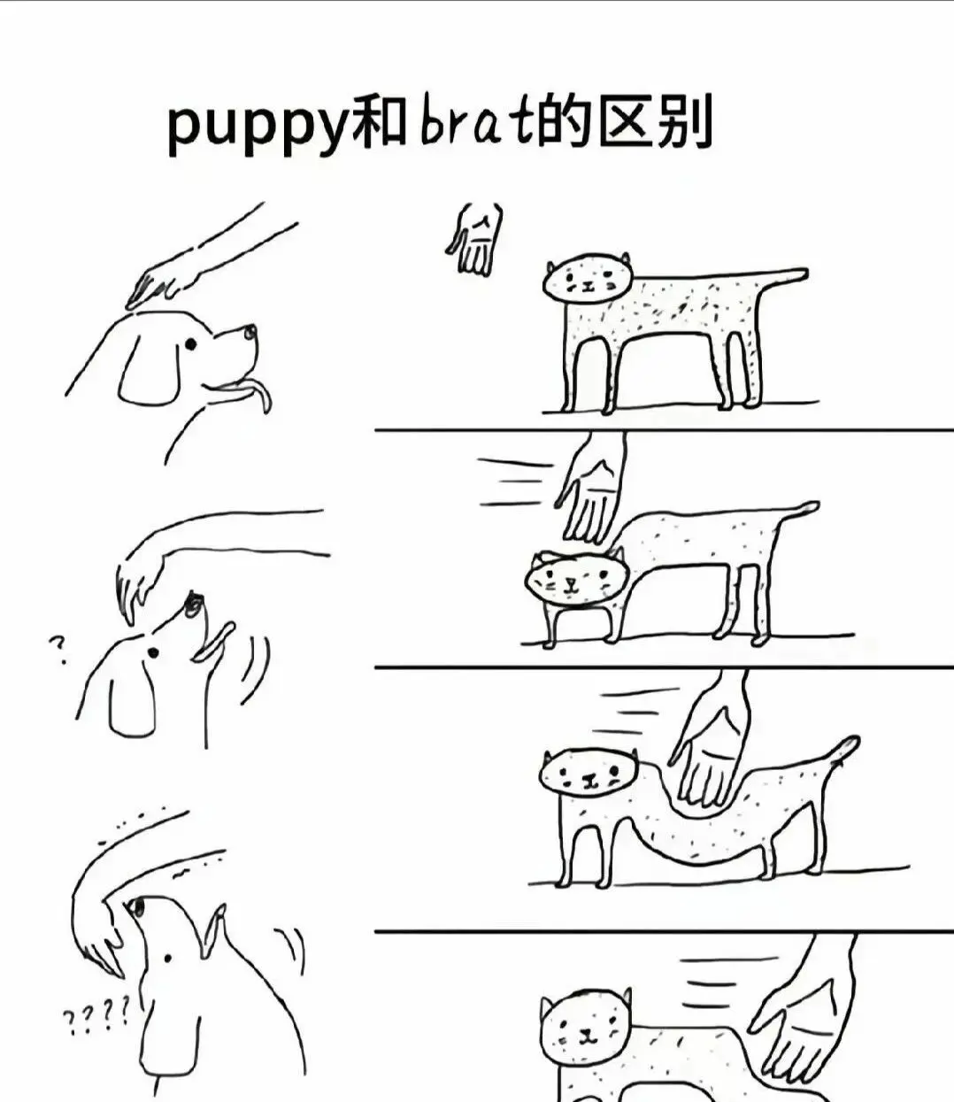 【西檬之家】BDSM字母圈的DOM是什么意思？