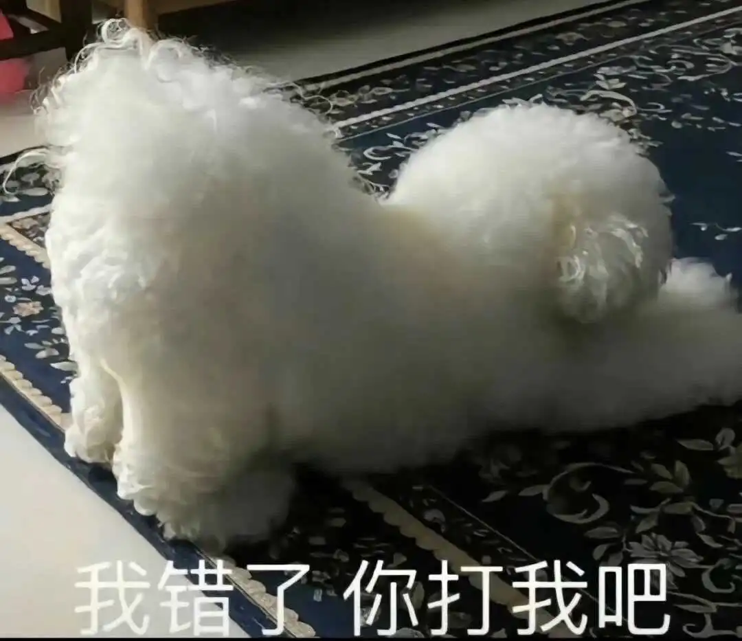 西檬之家-BDSM圈内Sub是什么？权威术语科普