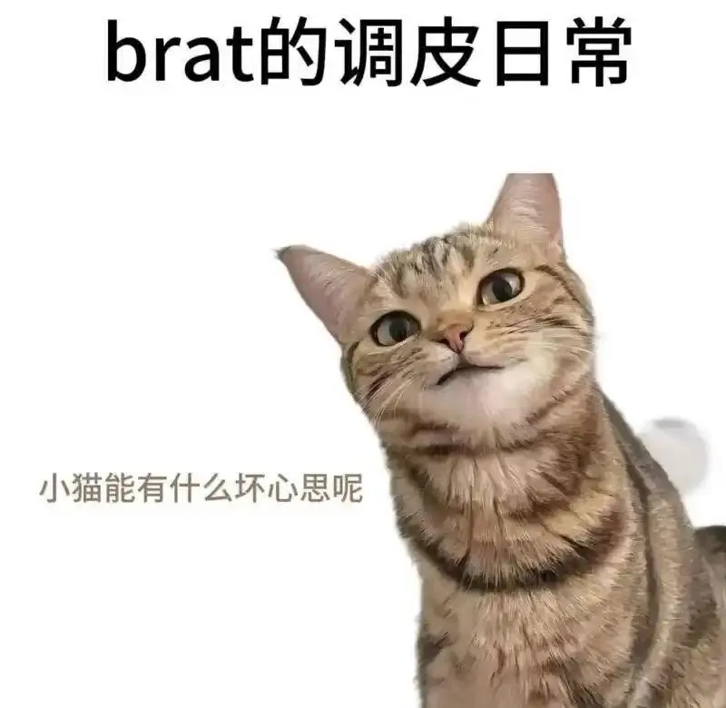 【西檬之家】字母圈圣水：BDSM新人如何理解与参与特定玩法？