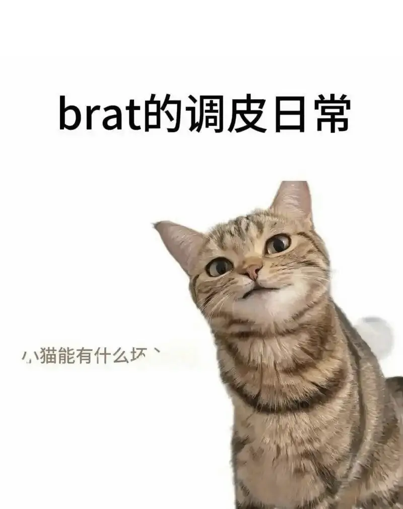 西檬之家-字母圈新人入圈指南