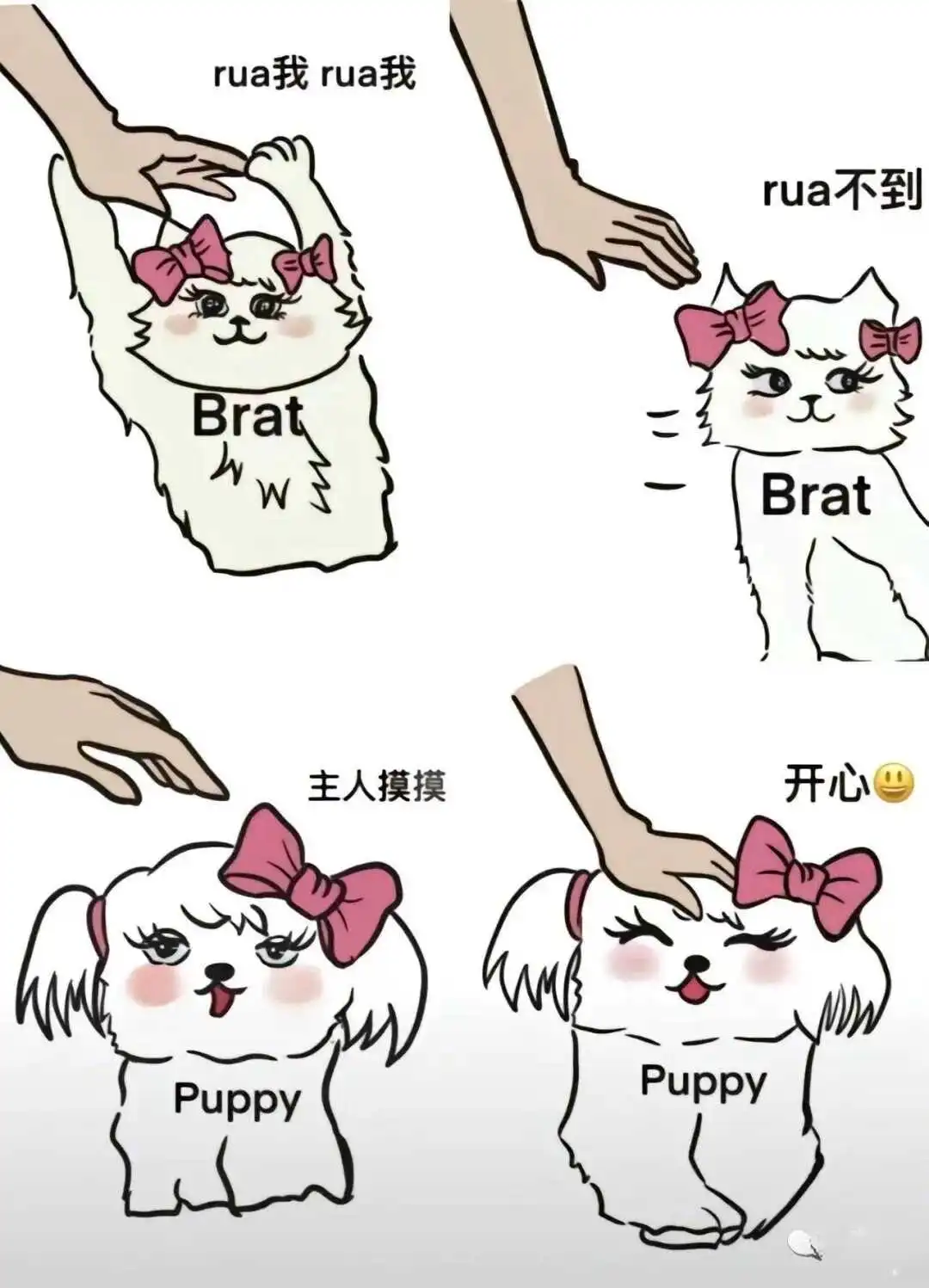 西檬之家-字母圈的BDSM核心术语解析