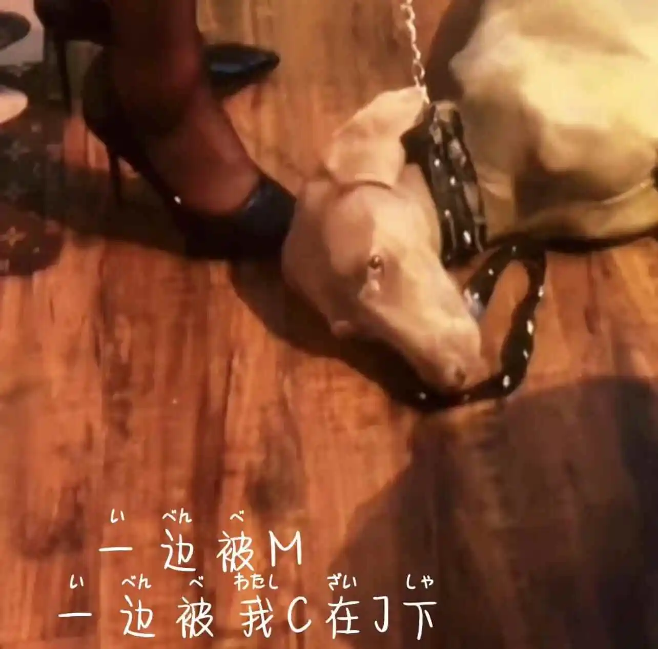 【西檬之家】恋足癖是什么?字母圈新人入圈指南