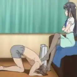 BDSM：实用指南