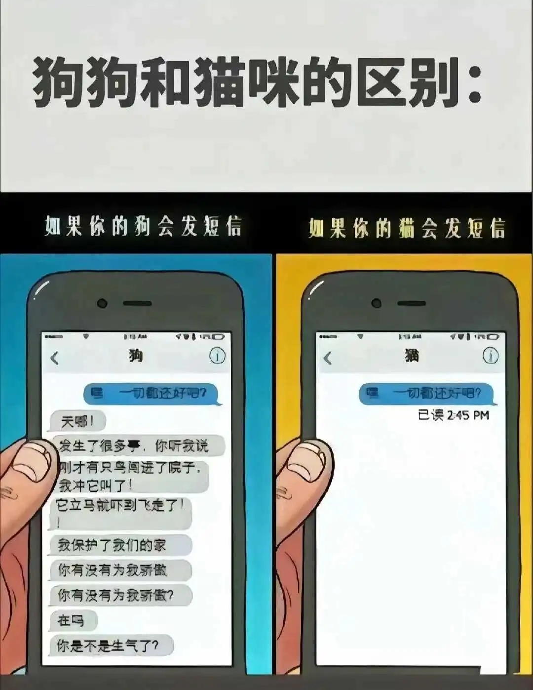 西檬之家-字母圈新人如何入圈？权威指南