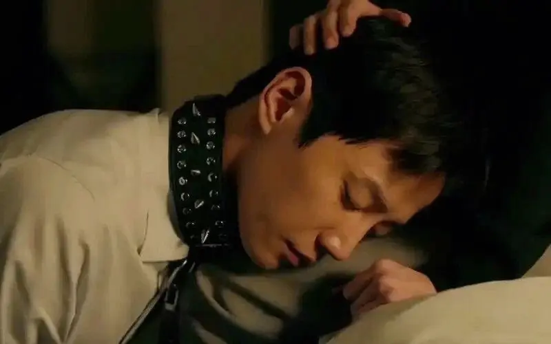 西檬之家-PE是什么意思？BDSM权力交换的权威指南